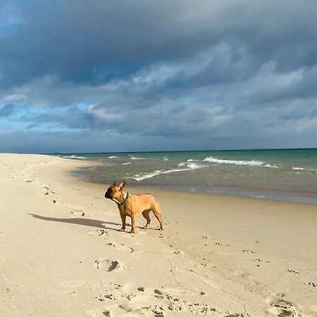 Belni Edyta I Maciej Wolak *